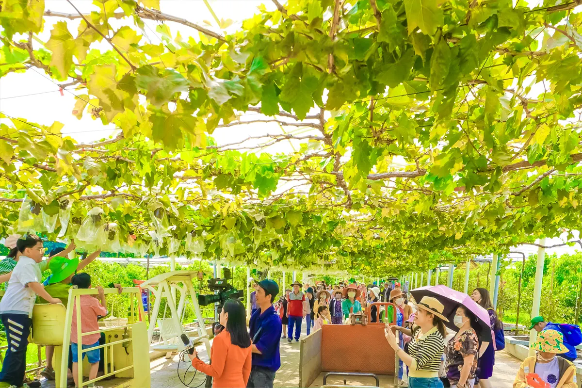 Khu du lich suoi tien Farm